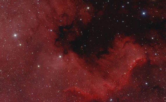 Észak-Amerika köd (NGC7000) 2018. augusztus 19., Szomód, Canon EOS 1300D, 200/800-as Newton-asztrográf, exp: 63 x 5 perc (Mohai Márk)
